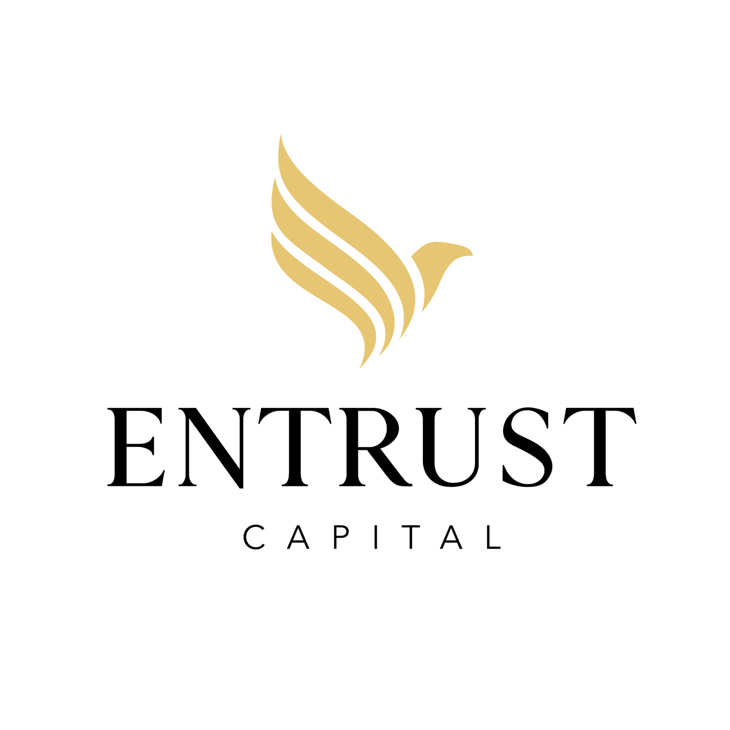 Entrust Capital secures $100mln for eiic cornerstone investment in Lulu IPO